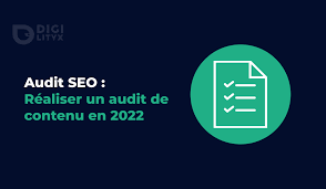 audit seo