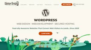 agence de web design