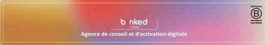 agence digitale blinked