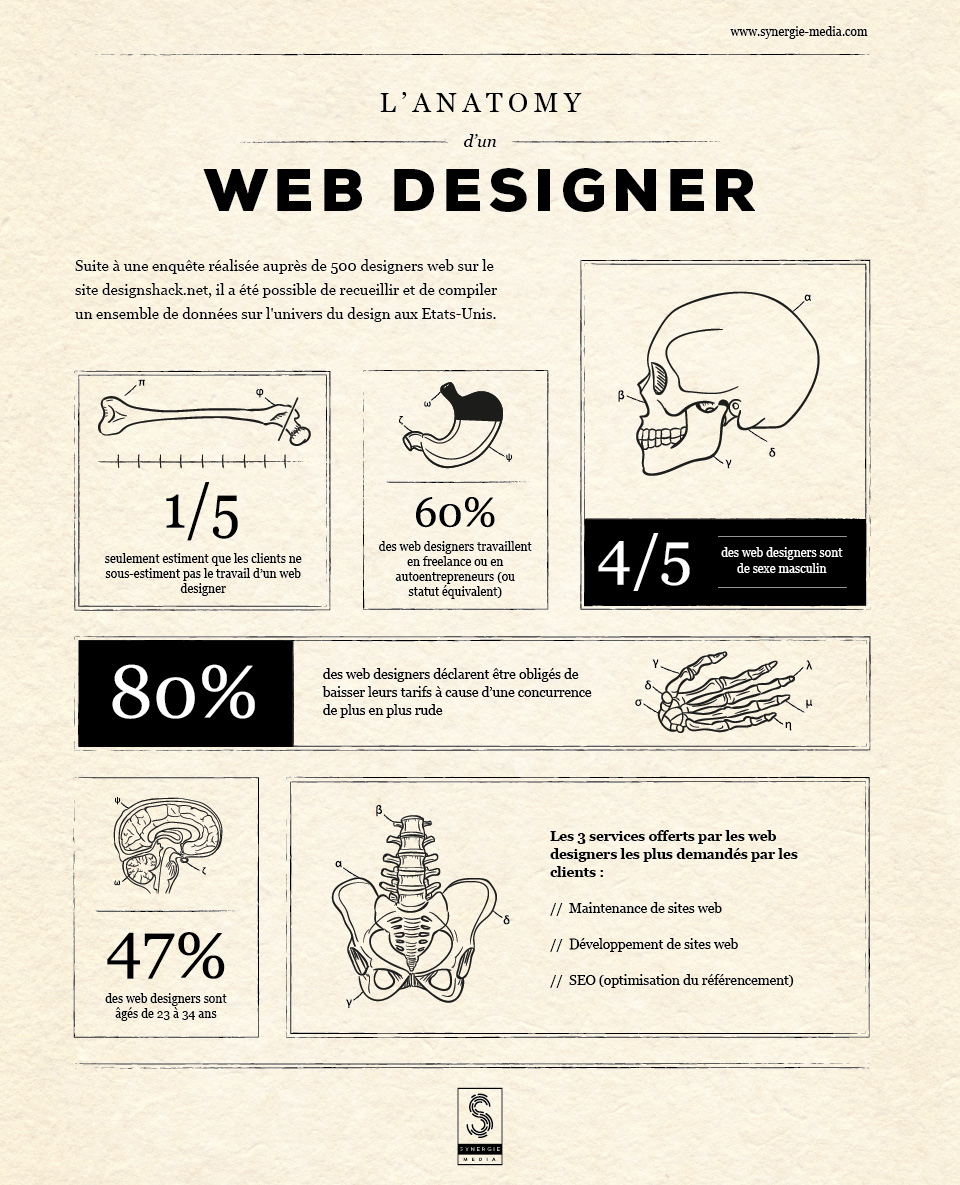 infographie web design